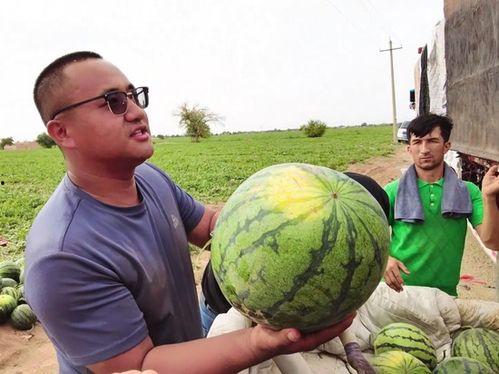 乌市吃瓜交流,品味生活，畅谈人间烟火