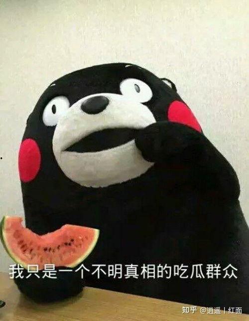 同桌吃瓜,揭秘校园里的那些秘密