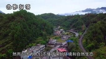 吃瓜奇异小镇,揭秘神秘食文化背后的故事