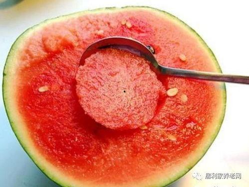 麦兜兜吃瓜,甜蜜瓜果的欢乐时光