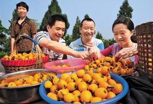 南充渣男吃瓜,吃瓜群众揭秘渣男真面目