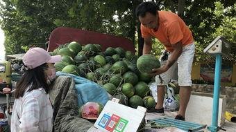 山东济宁吃瓜,瓜果飘香，品味地方特色美食之旅
