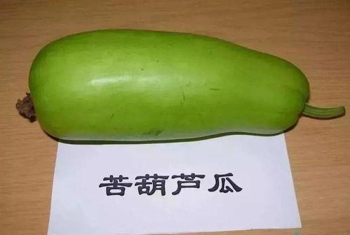 吃葫芦瓜季节,葫芦瓜丰收季的美食之旅”