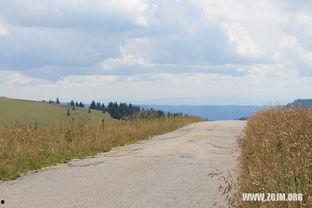 梦到在自己地里摘瓜吃瓜,摘瓜食瓜的田园生活幻想