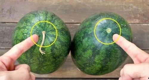 甜甜的吃瓜,揭秘娱乐圈甜蜜背后的秘密