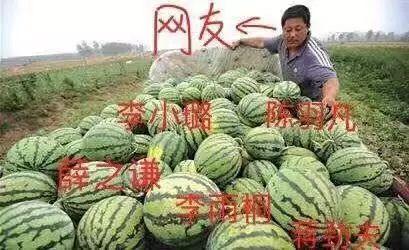 吃一串瓜,一串瓜的清凉之旅