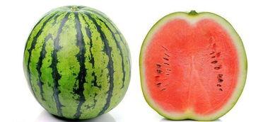 瓜拉纳和什么不能一起吃