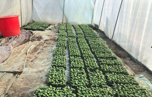 北湖吃瓜俱乐部,揭秘娱乐圈幕后故事，带你领略娱乐风云