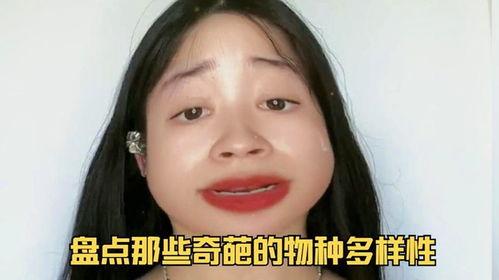 奇葩物种带你吃瓜,奇葩物种带你吃瓜之旅