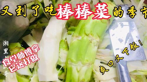 沧州老师吃瓜,一场校园风波背后的真相