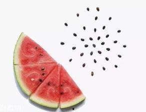 天天吃瓜吃撑了都吐了