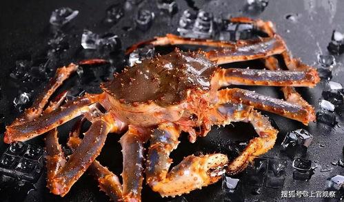 吃瓜帝王蟹,揭秘吃瓜帝王的美食之旅