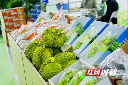 长沙吃瓜视频,揭秘街头美食背后的故事