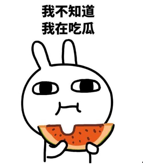 吃瓜二台,揭秘娱乐圈幕后故事