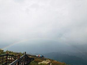 吃瓜冰山,探寻娱乐圈背后的真相与秘密