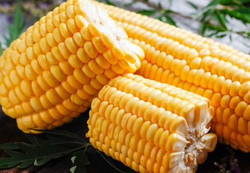 吃瓜玉米,揭秘农业新宠的种植与美味
