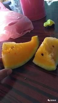 取件码吃瓜,一场网络狂欢的幕后真相