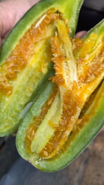 视频吃瓜黄料,一场网络狂欢背后的真相