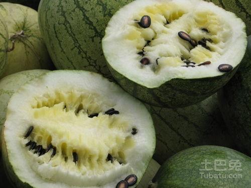 孕晚期吃籽瓜多,助力母婴健康，孕育幸福时光