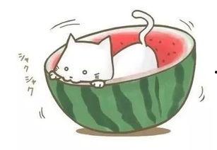 遇到没吃明白的瓜,揭秘那些让人一头雾水的“瓜”